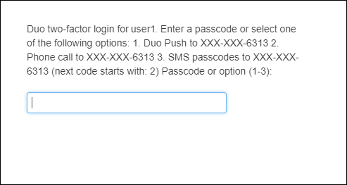 Screen Capture of Duo Two-Factor Login Page - Enter Passcode