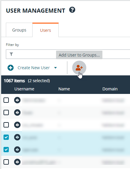 Click the Add User to Groups button above the Users grid in BeyondInsight