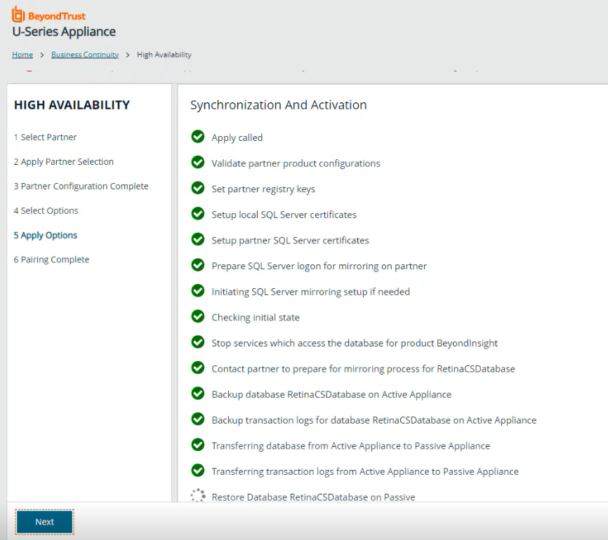 Synchronization and Activation screen in the High Availability wizard.