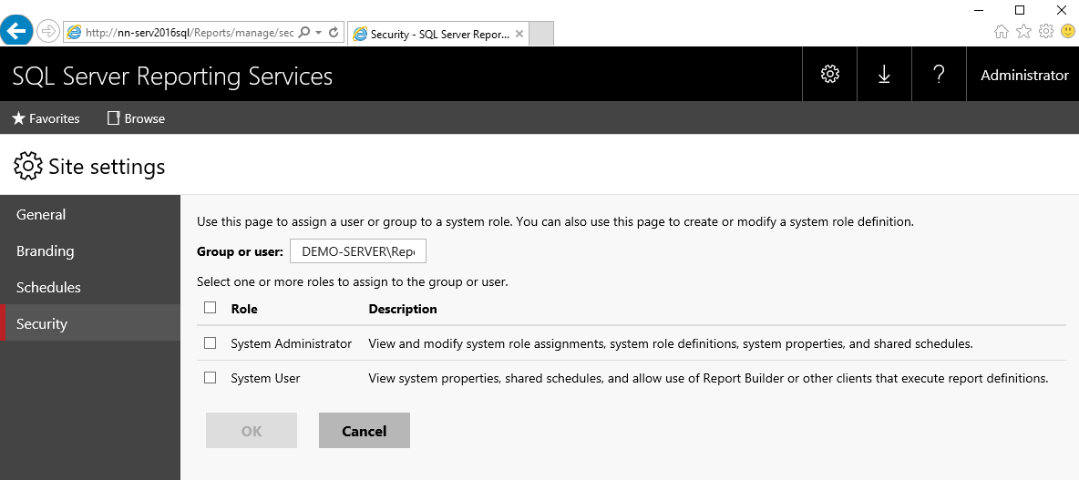 Create the ReportWriter Account on the Security tab in SQL Server Reporting Services. 