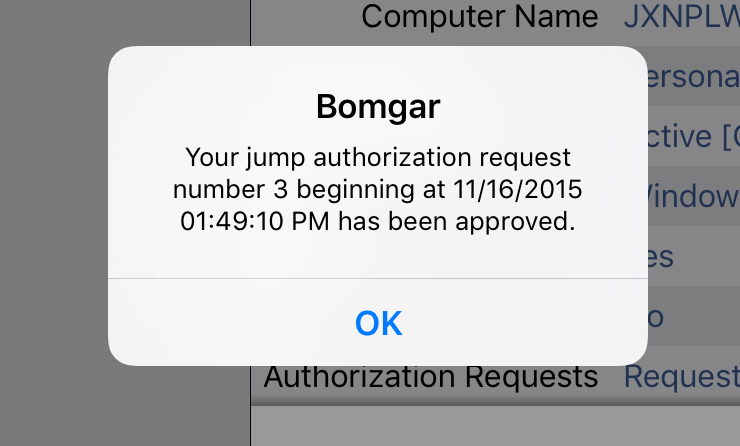 iOS Authorization Message