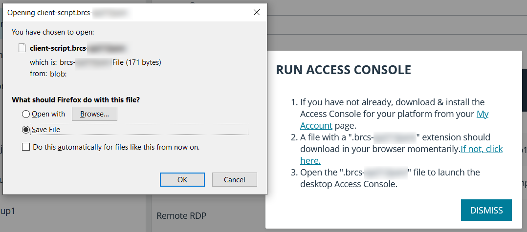 Run the Access Console