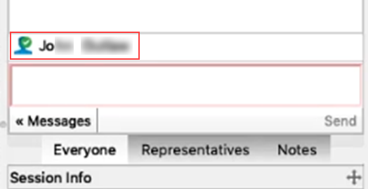 Check mark next to customer's name in rep console to indicate user is public portal authenticated