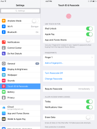 Apple apparaatinstellingen voor Touch ID